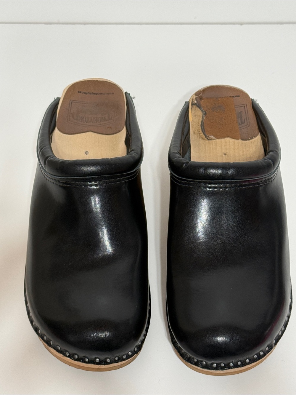 Troentorp Rembrandt Leather Swedish Clogs